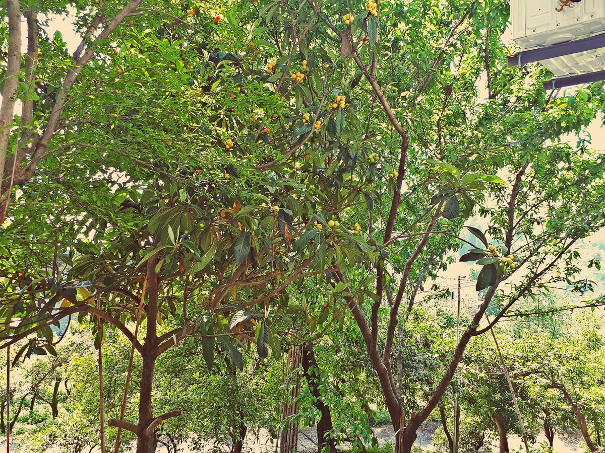 Apartments Sunset Paradise Makhinjauri Bagian luar foto